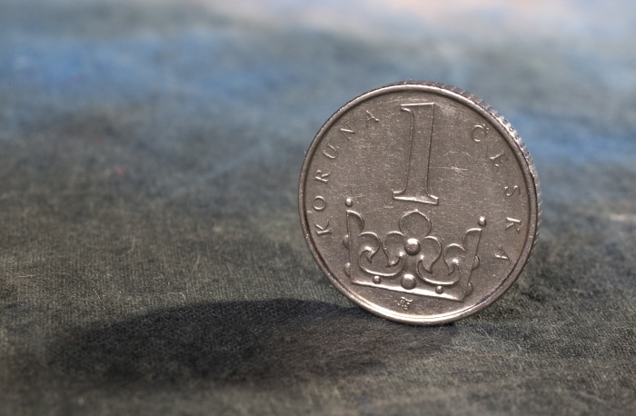 Výběr členských a oddílových příspěvků